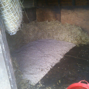 Eco Product 04