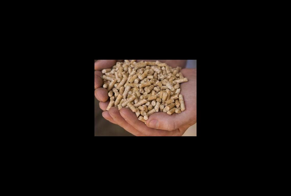 Slide 2 - Eco Product 05